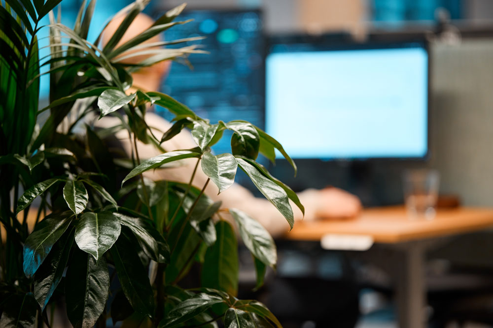 En planta på ett kontor med en person som sitter vid sitt skrivbord i bakgrunden